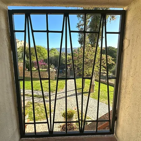 Masia Can Viver - Olive Oil Tourism B&B Bigues I Riells Quarto foto