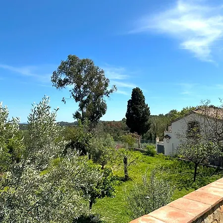 Masia Can Viver - Olive Oil Tourism B&B Bigues I Riells Exterior foto