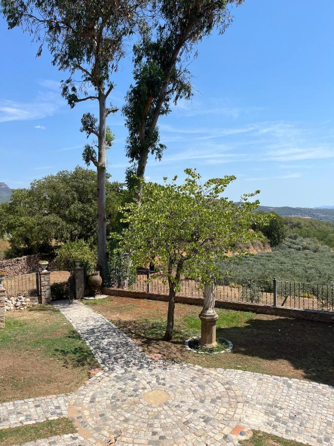 Casa de Campo Masia Viver - Olive Oil Tourism