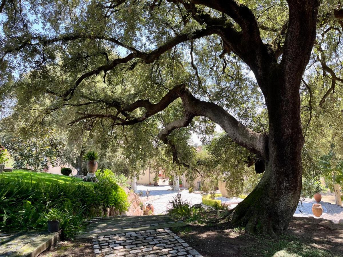 Masia Viver - Olive Oil Tourism *