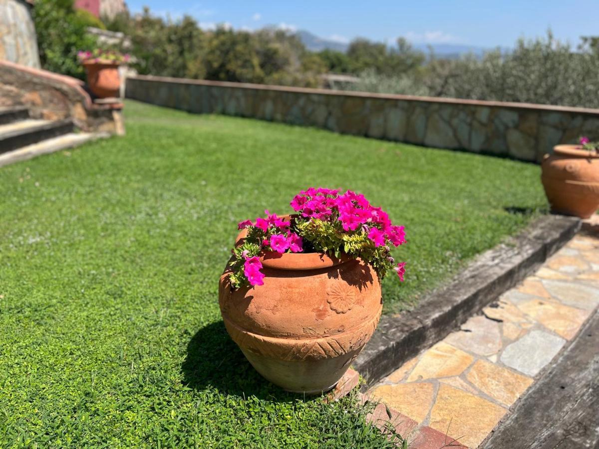 Casa de Campo Masia Viver - Olive Oil Tourism