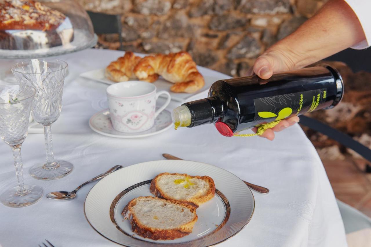 Masia Viver - Olive Oil Tourism Landhaus