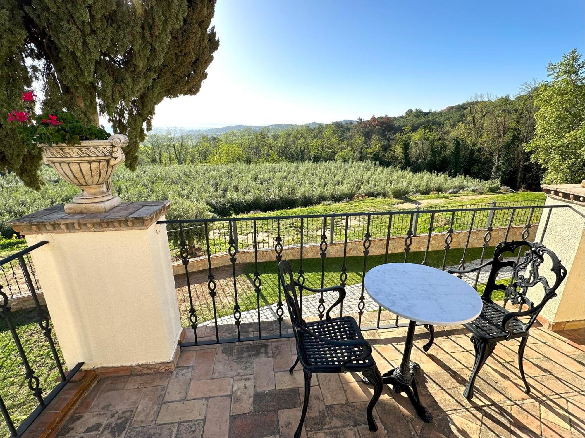 Masia Viver - Olive Oil Tourism