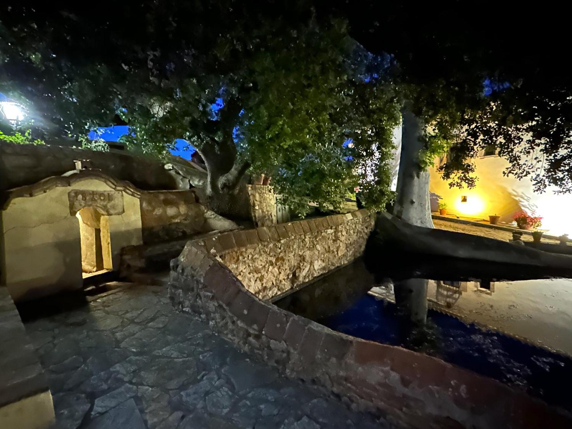 Masia Viver - Olive Oil Tourism *