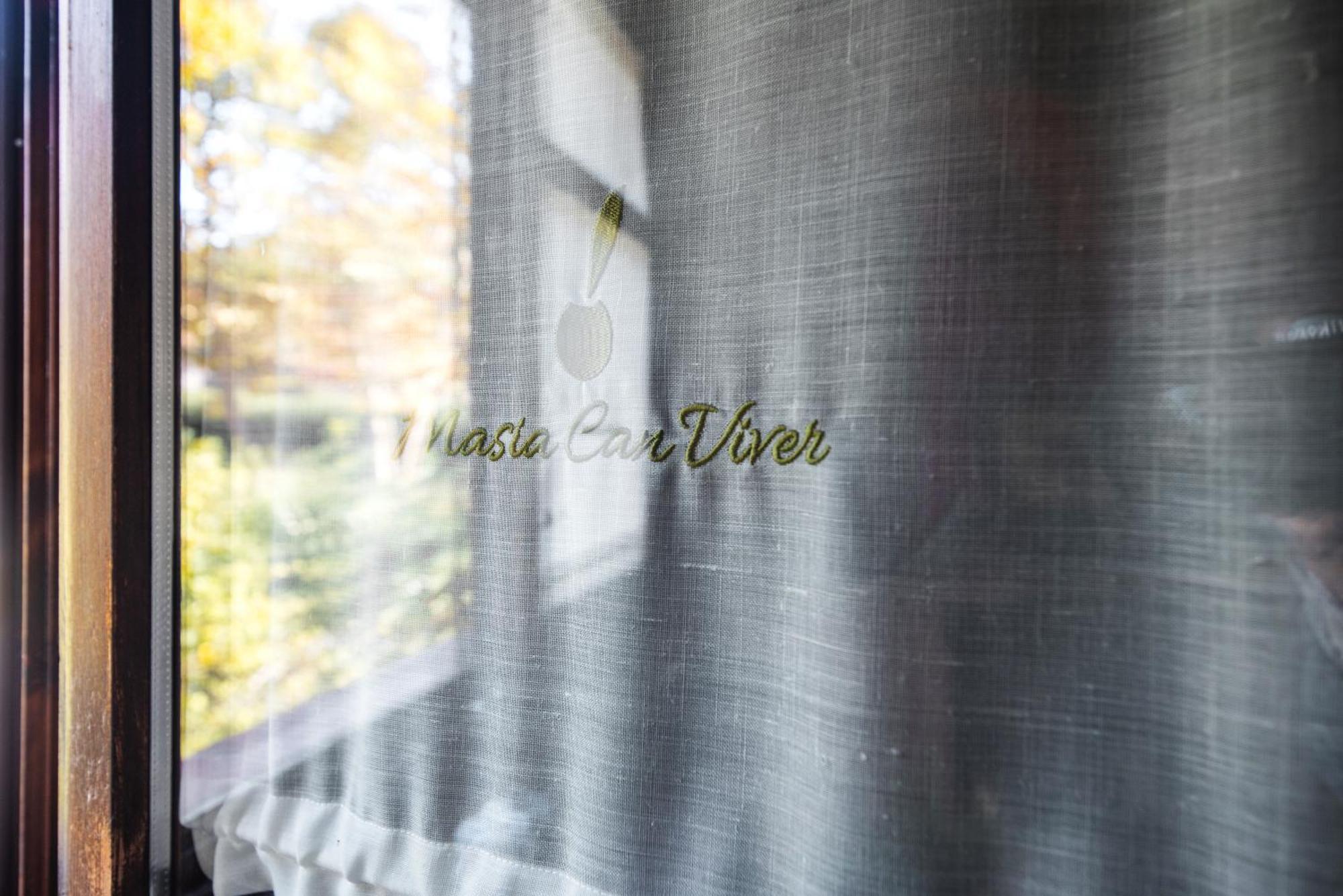 Masia Viver - Olive Oil Tourism *